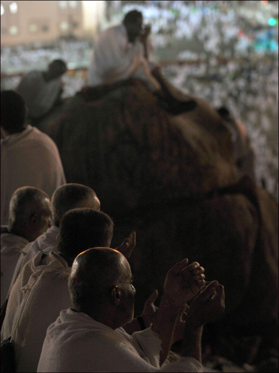 أكثر من ثلاثة ملايين حاج يقفون على عرفات اليوم  صورة رقم 35