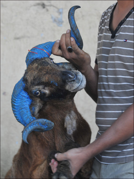 أكثر من ثلاثة ملايين حاج يقفون على عرفات اليوم  صورة رقم 7