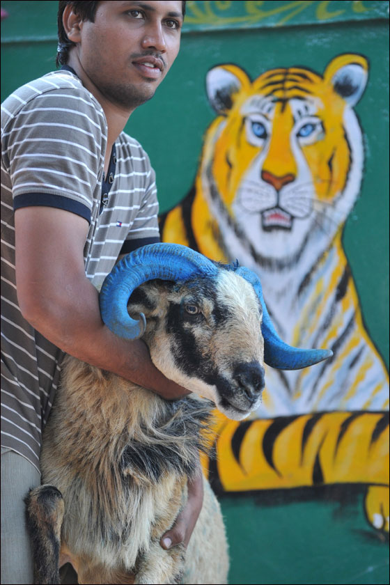 أكثر من ثلاثة ملايين حاج يقفون على عرفات اليوم  صورة رقم 5