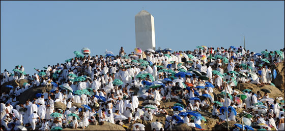 أكثر من ثلاثة ملايين حاج يقفون على عرفات اليوم  صورة رقم 19