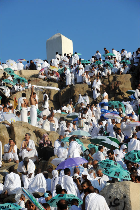 أكثر من ثلاثة ملايين حاج يقفون على عرفات اليوم  صورة رقم 20