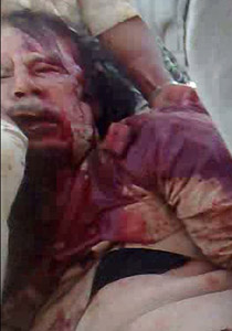 موالون للقذافي يراقبون اسراب الطيور لمعرفة مكان قبر القذافي! صورة رقم 1