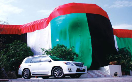 ليعبر عن فرحه في اليوم الوطني.. جعل علم الامارات غطاء لبيته! صورة رقم 1