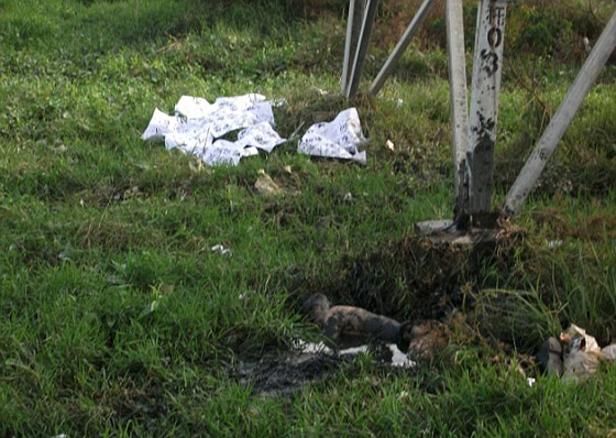 روميو المتكهرب.. صعد عمود كهربائي ليطلب يد حبيبته فاحترق! صورة رقم 2