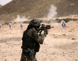 زعيم قبلي يتهم مسلحو القاعدة بجرائم اعدام وقطع ايدي!  صورة رقم 1