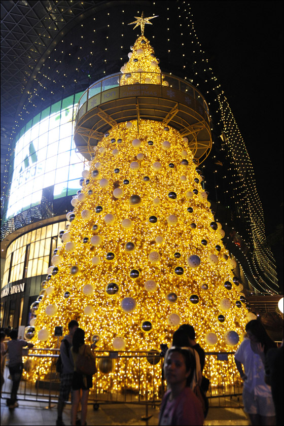 العالم يحتفل بالميلاد المجيد.. وصور تعكس اجواء العيد  صورة رقم 8