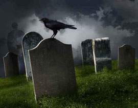 امرأة جزائرية تسكن بجانب المقبرة لتجاور ابنها الوحيد المتوفي! صورة رقم 1 امرأة جزائرية تسكن بجانب المقبرة لتجاور ابنها الوحيد المتوفي! صورة رقم 1