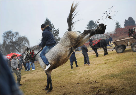 بالصور.. العالم يحتفل بعيد الغطاس بصلاة ومنافسات متنوعة!!  صورة رقم 29