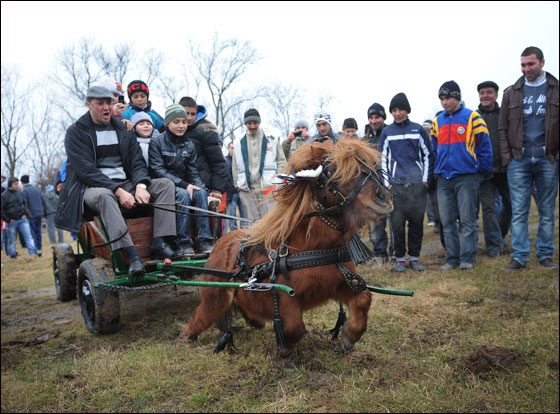 بالصور.. العالم يحتفل بعيد الغطاس بصلاة ومنافسات متنوعة!!  صورة رقم 31