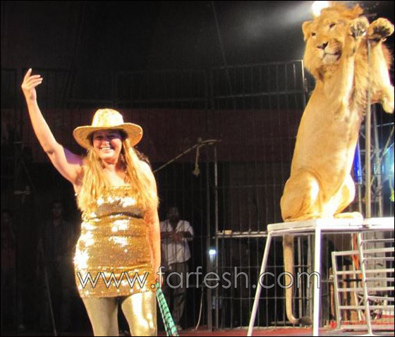 فاتن الحلو تبدأ جولتها الجديدة في سيرك مصر  صورة رقم 6