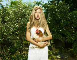 13 دولة تنتهك القانون الاوروبي وتربي الدجاج في اقفاص ضيقة! صورة رقم 1