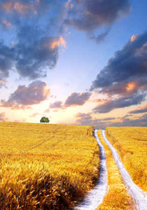 التبدلات المناخية تهدد العالم بضيق انتاج الغذاء! صورة رقم 1