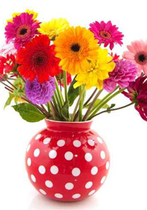 ما هو تأثير الابراج على اختيار الديكور؟! صورة رقم 2