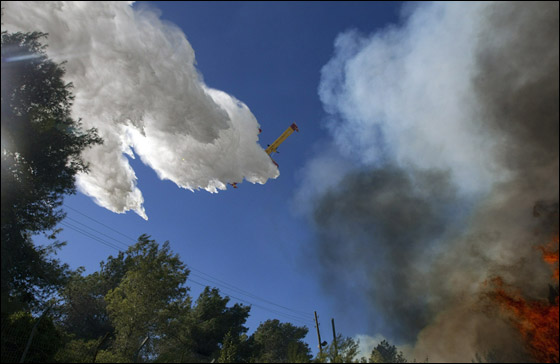 مراقب الدولة يحمل الداخلية والمالية مسؤولية حريق الكرمل!  صورة رقم 13