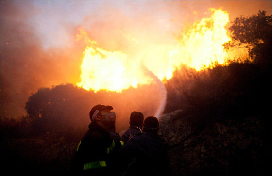 مراقب الدولة يحمل الداخلية والمالية مسؤولية حريق الكرمل!  صورة رقم 11
