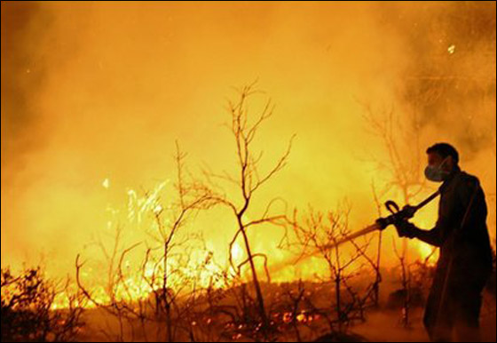 مراقب الدولة يحمل الداخلية والمالية مسؤولية حريق الكرمل!  صورة رقم 7