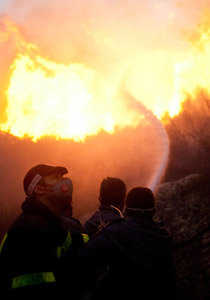 مراقب الدولة يحمل الداخلية والمالية مسؤولية حريق الكرمل!  صورة رقم 1
