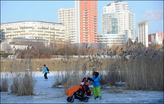 مقتل اكثر من 480 مواطن نتيجة موجة الصقيع التي تجتاح اوروبا! صورة رقم 13