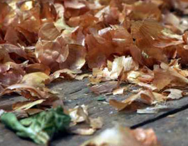 نام في حاوية تحوي اطنانا من البصل فاختنق حتى الموت! صورة رقم 1