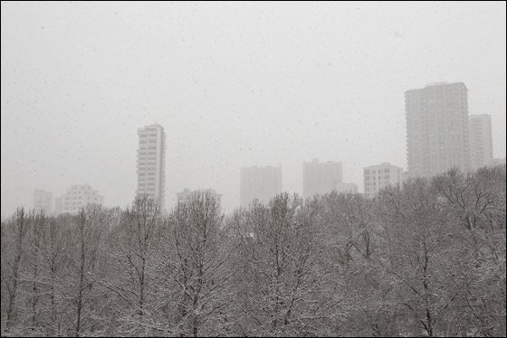 وفاة أكثر من 40 طفلا جراء موجة الصقيع في ايران!  صورة رقم 8