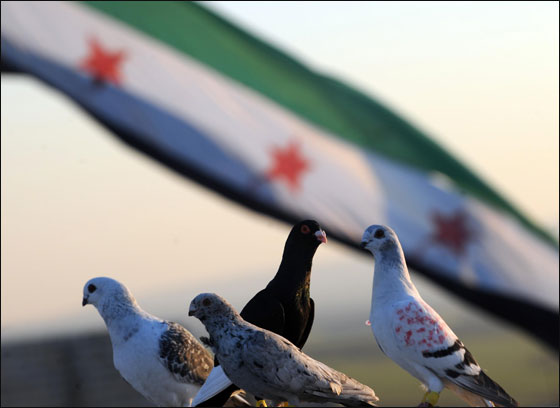 سوريا: الاقلية العلوية ستقاتل حتى النهاية دفاعا عن حكم الاسد! صورة رقم 5 سوريا: الاقلية العلوية ستقاتل حتى النهاية دفاعا عن حكم الاسد! صورة رقم 5