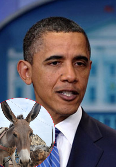 تعبيرا عن المحبة.. كولومبي يهدي اوباما حمار!!  صورة رقم 1
