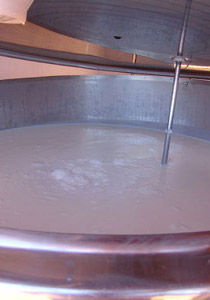 الرياضة ومشروب الشوكو  صورة رقم 1