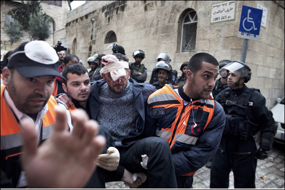 مسلمو الاردن: تزايد عدد المتطرفين اليهود يعرض الاقصى لكارثة صورة رقم 9