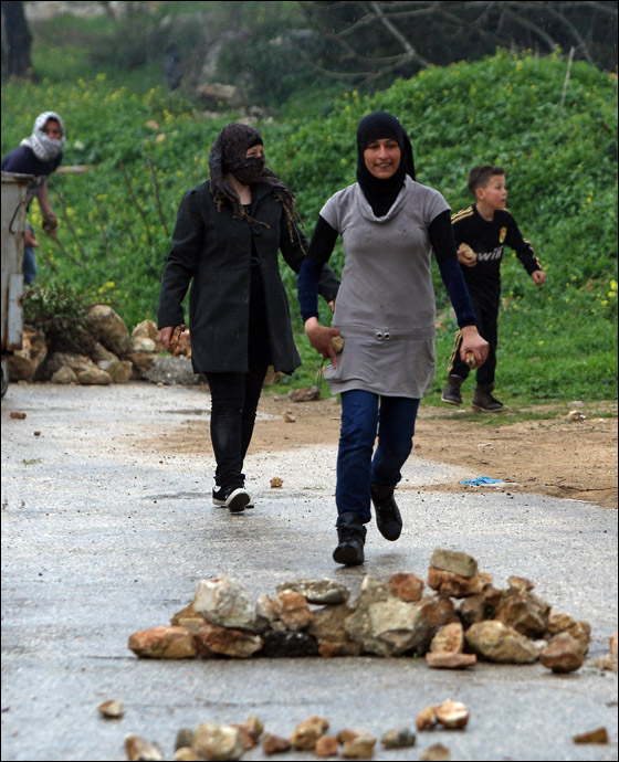 مسلمو الاردن: تزايد عدد المتطرفين اليهود يعرض الاقصى لكارثة صورة رقم 17
