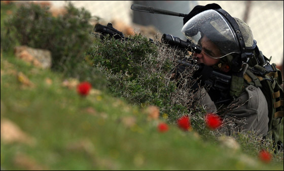 مسلمو الاردن: تزايد عدد المتطرفين اليهود يعرض الاقصى لكارثة صورة رقم 19