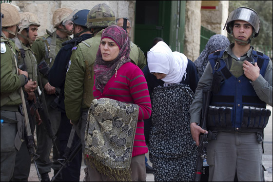 مسلمو الاردن: تزايد عدد المتطرفين اليهود يعرض الاقصى لكارثة صورة رقم 20