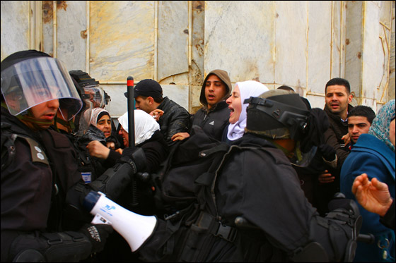 مسلمو الاردن: تزايد عدد المتطرفين اليهود يعرض الاقصى لكارثة صورة رقم 31