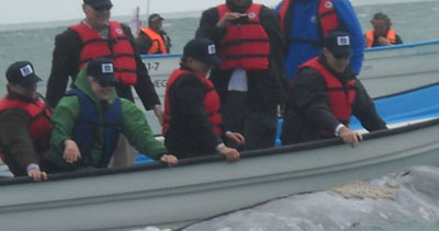 هيلاري كلينتون تقف وجها لوجه مع حوت ضخم! صورة رقم 1 هيلاري كلينتون تقف وجها لوجه مع حوت ضخم! صورة رقم 1