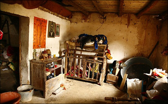 تعرفوا على الشاب الذي قضى معظم ايام حياته داخل قفص خشبي!  صورة رقم 3