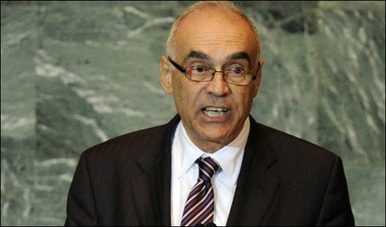  دول الربيع العربي تتفق على مكافحة الارهاب وقضايا الحدود!  صورة رقم 3