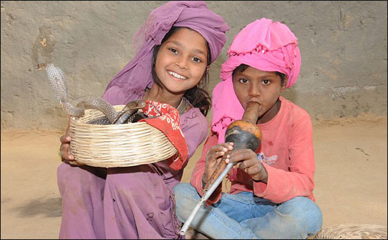 بالصور: اطفال هنود يمتلكون مهارات عالية للرقص مع اخطر الثعابين صورة رقم 2