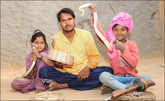 بالصور: اطفال هنود يمتلكون مهارات عالية للرقص مع اخطر الثعابين صورة رقم 4