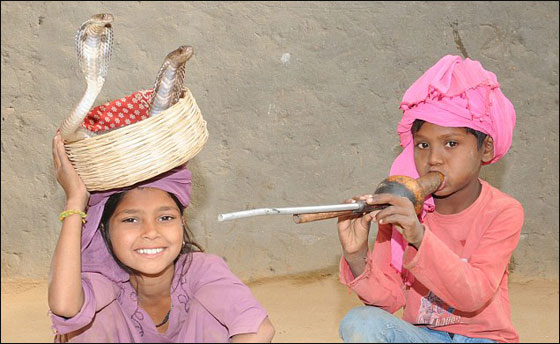 بالصور: اطفال هنود يمتلكون مهارات عالية للرقص مع اخطر الثعابين صورة رقم 3