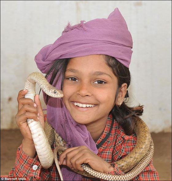 بالصور: اطفال هنود يمتلكون مهارات عالية للرقص مع اخطر الثعابين صورة رقم 7