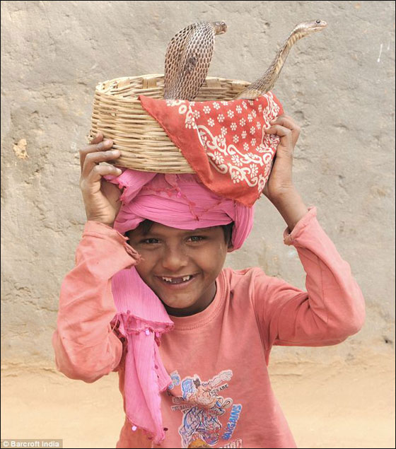 بالصور: اطفال هنود يمتلكون مهارات عالية للرقص مع اخطر الثعابين صورة رقم 8