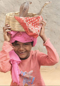 بالصور: اطفال هنود يمتلكون مهارات عالية للرقص مع اخطر الثعابين صورة رقم 1