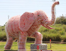 افتتاح حديقة الحيوانات المعاد تدويرها في عطلة الربيع  صورة رقم 1