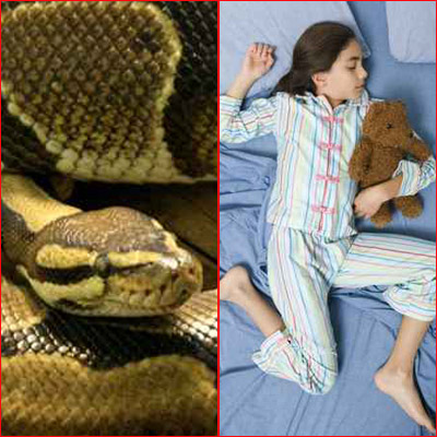 مصري ينتقم من بناته الثلاث ويقتلهن بواسطة كوبرا! صورة رقم 1