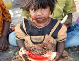 بسبب الازمة الاقتصادية: الفقراء يسرقون الخضروات! صورة رقم 1 بسبب الازمة الاقتصادية: الفقراء يسرقون الخضروات! صورة رقم 1