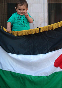 الطفل عمر يصارع المرض ورافع علم سوريا متمنيا السلام والعدالة صورة رقم 3