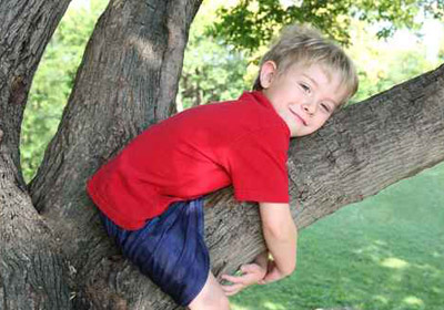 نجاة طفل سقط من الطابق التاسع.. بفضل اغصان الاشجار!! صورة رقم 1