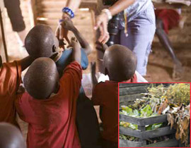 عام 2011.. قيمة الغذاء المهدور وصلت الى تريليون دولار! صورة رقم 1