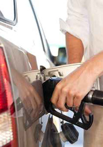 الاردن: ارتفاع اسعار الحمير عقب ارتفاع اسعار البنزين!! صورة رقم 1 الاردن: ارتفاع اسعار الحمير عقب ارتفاع اسعار البنزين!! صورة رقم 1