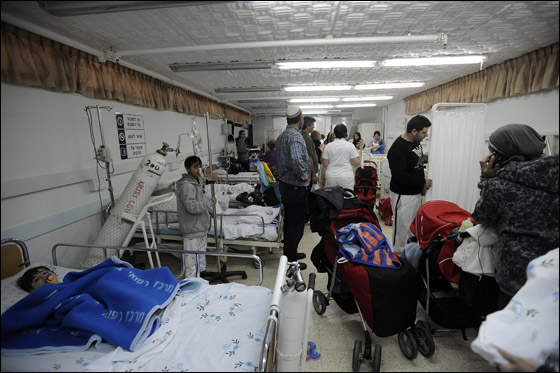 هارتس: انتشار بكتيريا قاتلة في قطاع غزة بسبب القطط!! صورة رقم 1