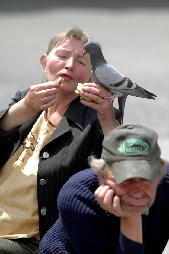 بان كي مون: اكثر من 42 مليون شخص تشردوا في أرجاء العالم صورة رقم 3